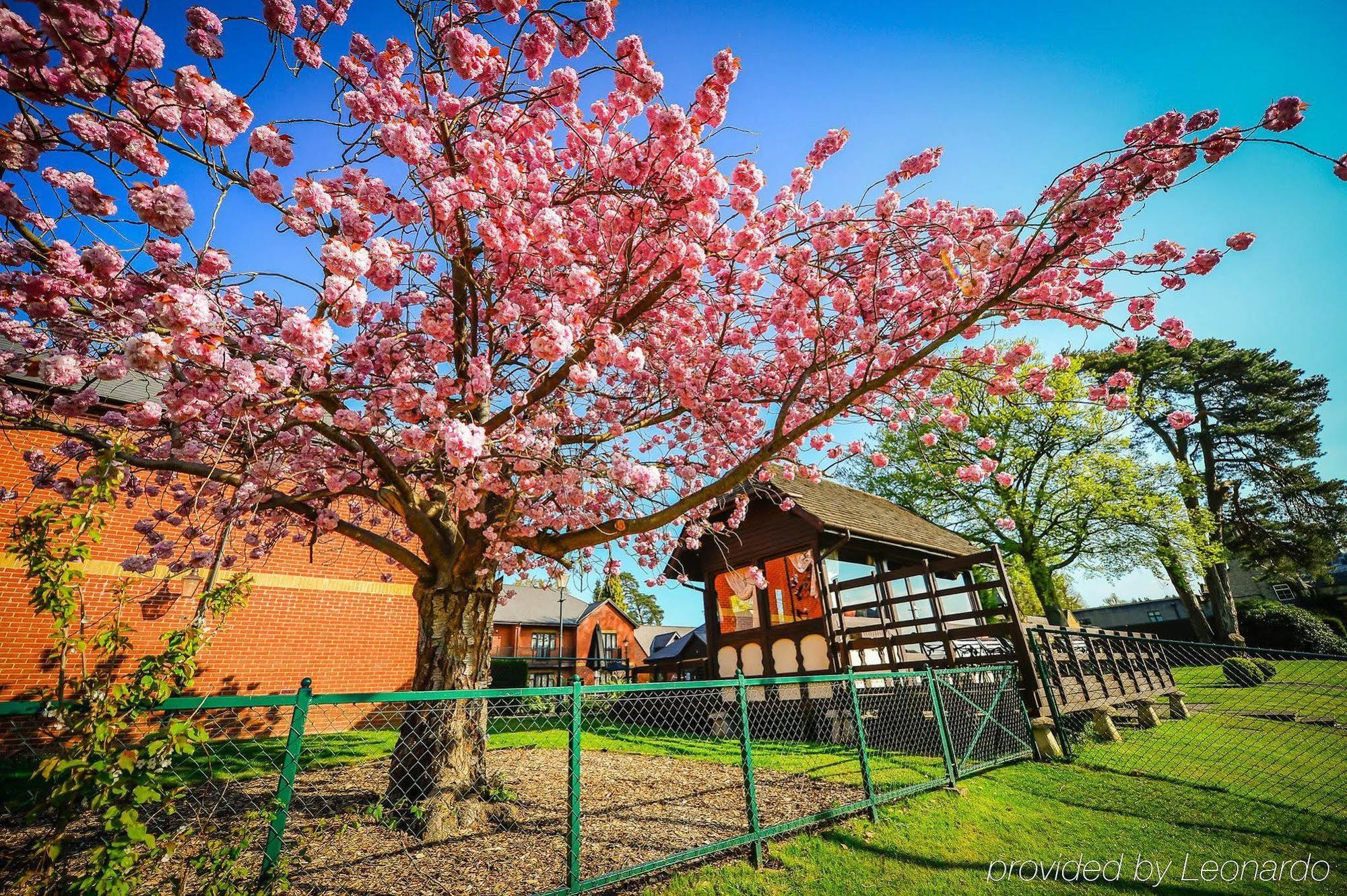 Foxhills Club & Resort Ottershaw Екстериор снимка
